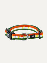 Dog Collar - Festive Stripe Sparkle
